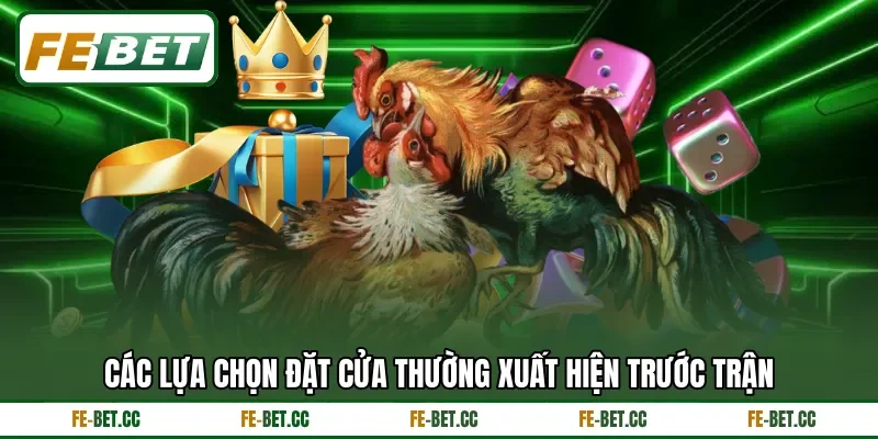 Các lựa chọn đặt cửa thường xuất hiện trước trận
