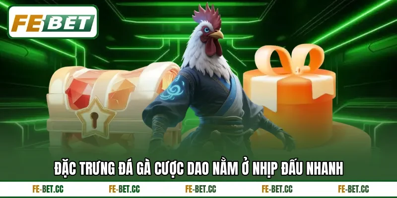 Đặc trưng đá gà cược dao nằm&nbsp;ở nhịp đấu nhanh