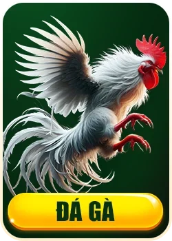 fe bet da ga