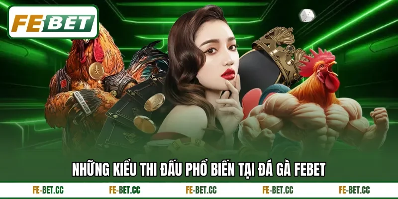 Những kiểu thi đấu phổ biến tại đá gà Febet