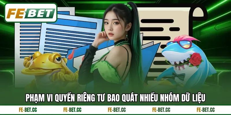 Phạm vi quyền riêng tư bao quát nhiều nhóm dữ liệu